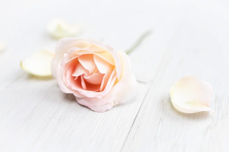 Read more about the article #4 – Das Schweigen wurde gebrochen