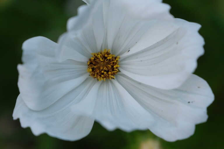 Read more about the article #8 – Gott gehört alles