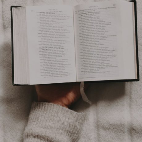 311BD8AA-7F7F-4B78-96C1-97B4A82F9C8D